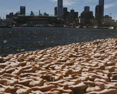    (  35),    spencertunick.com