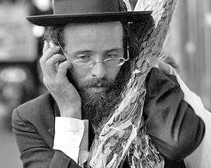           ,           ,         .