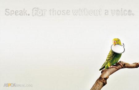 ASPCA