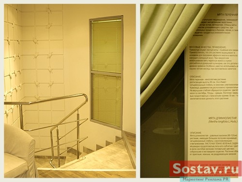 Фирменный стиль для частной стоматологии La Minta от ZERO