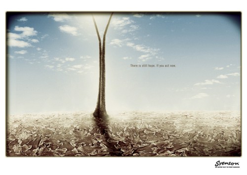 Рреклама центра Svenson Hair Centre