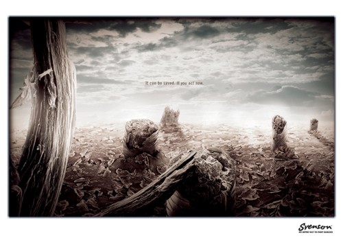 Реклама центра Svenson Hair Centre