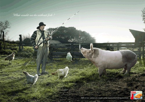     Findus  Callegari Berville Grey