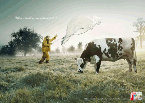     Findus  Callegari Berville Grey