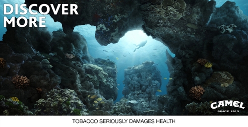 С верблюдом Camel по жизни