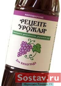 "������ ������"