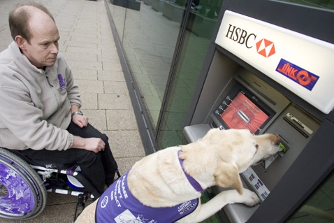 Аллен Партон и его лабрадор Эндал, самостоятельно научившийся банковскому делу (фото с сайта caninepartners.co.uk).