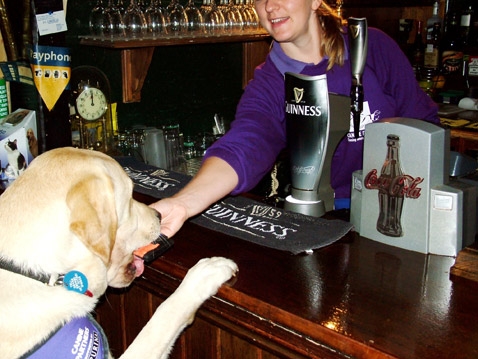     ,     Guinness (   caninepartners.co.uk).