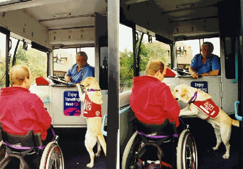 И снова Эндал. Теперь в качестве связующего звена (фото с сайта milleniumdog.freeserve.co.uk).