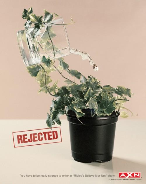 Реклама телевизионного шоу Ripley's Believe it or Not от 1861 United Milan