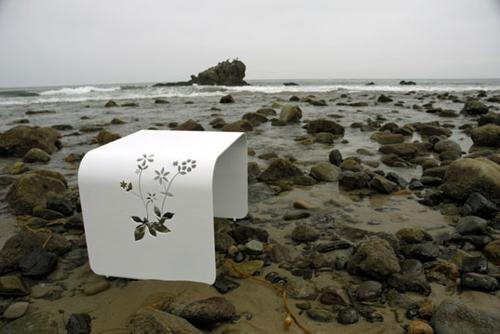 Стол для ботаника