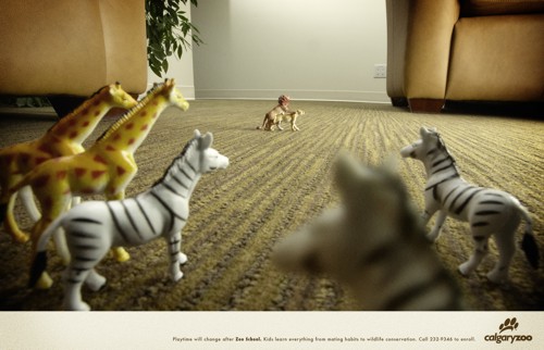 Реклма зоопарка Calgary Zoo