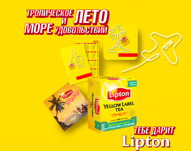  Lipton