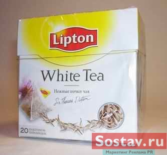  Lipton