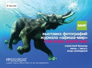 выстовка фотографий