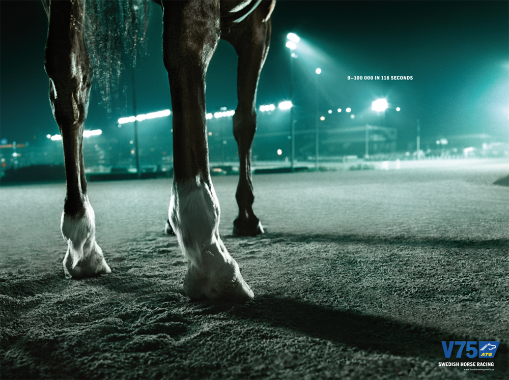 Реклама лошадок. Реклама с лошадью. Жеребец реклама. Лошади из рекламы. Реклама скачки.