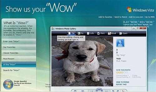  showuayourwow.com -   