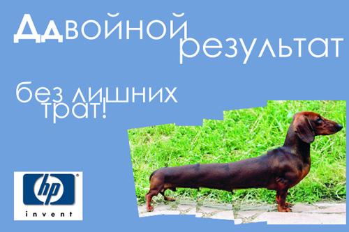 Сообщество конкурса HP, конкурсные работы