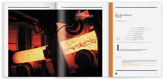 Первый годовой отчёт для «Трубной Металлургической Компании»