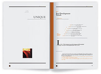 Первый годовой отчёт для «Трубной Металлургической Компании»