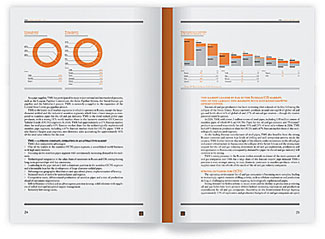 Первый годовой отчёт для «Трубной Металлургической Компании»