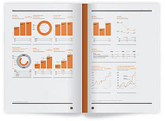 Первый годовой отчёт для «Трубной Металлургической Компании»