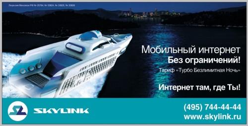  SkyLink  BrandSell