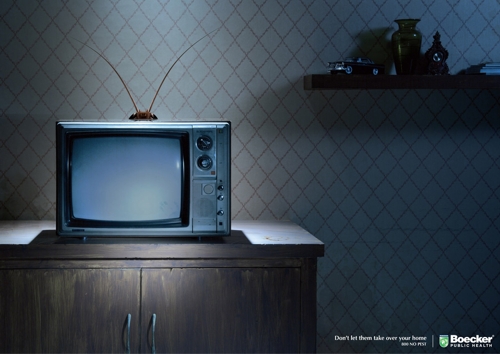 Boecker Public Health