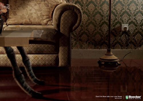 Boecker Public Health