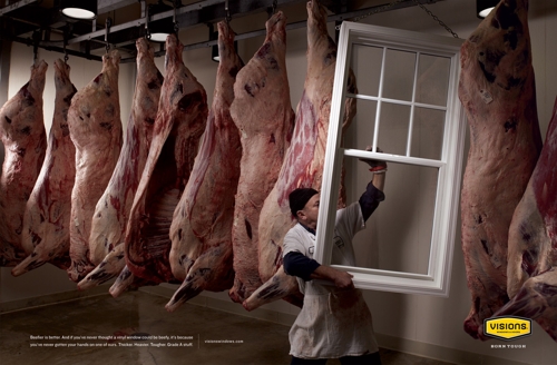 Visions Vinyl Windows