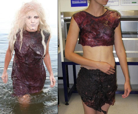  :      .       ?  ,   (   bioalloy.org  abc.net.au).