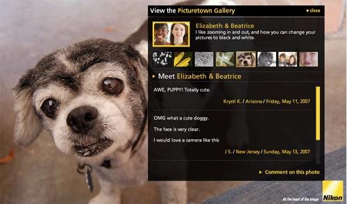 Сайт Nikon Picturetown, картинка Беатрикс и Элизабет, комментарии