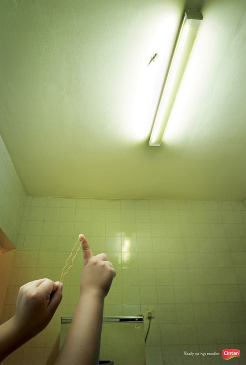 ������� ����� Cintan