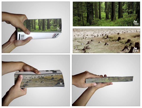 ������� NRDC �� Dentsu