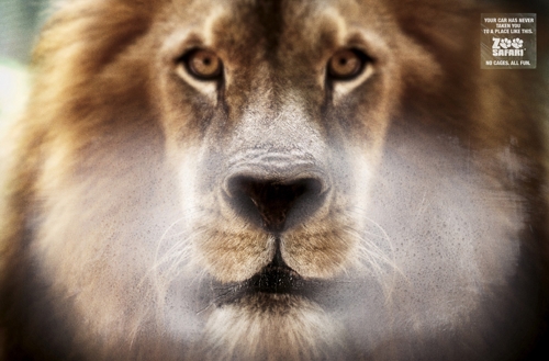      Zoo Safari   DDB Brazil
