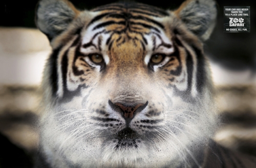      Zoo Safari   DDB Brazil