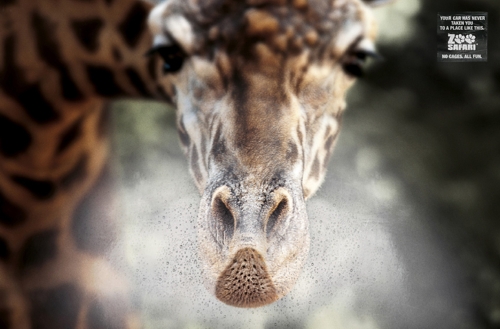      Zoo Safari   DDB Brazil