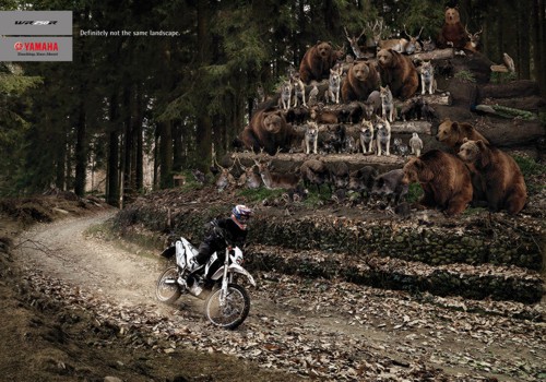   1861 United  Yamaha WR250R