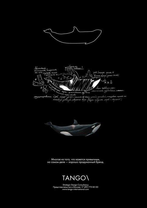 Рекланая кампания TANGO\