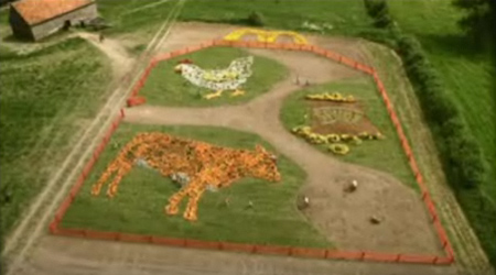 Кадр ролика McDonald's