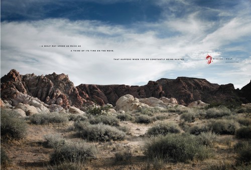 Mission: Wolf  22squared