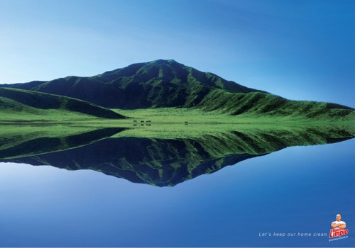   Grey  Maestro Limpio