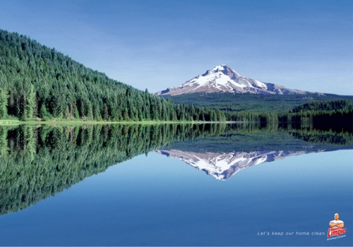   Grey  Maestro Limpio