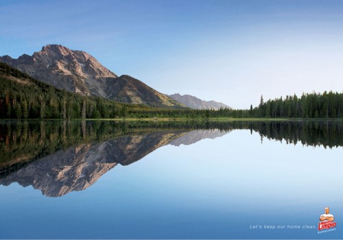   Grey  Maestro Limpio