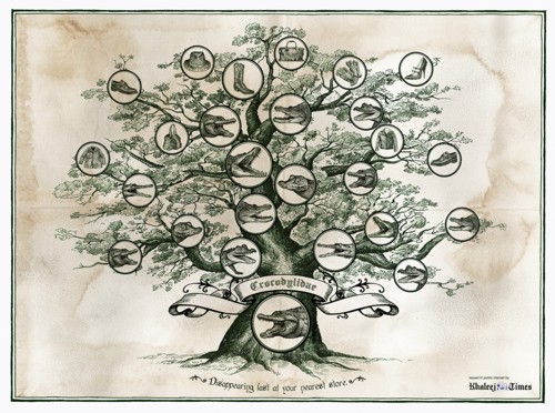   Team Y&R  Khaleej Times