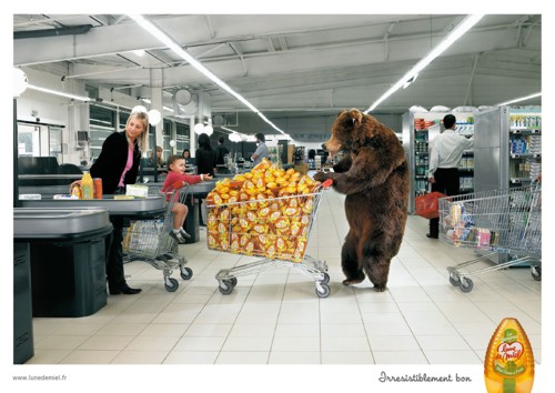   DDB Nouveau Monde Toulouse  Lune de Miel