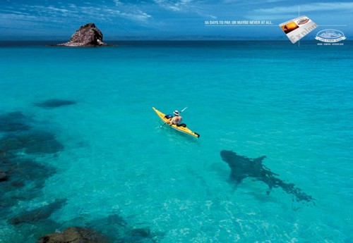 Принт для Cape Union Mart и King James