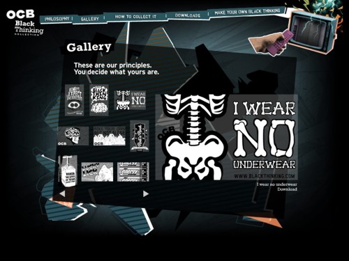   The Fly and the Eye  Road