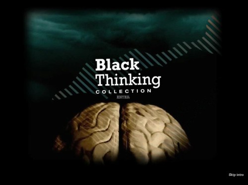   The Fly and the Eye  Road