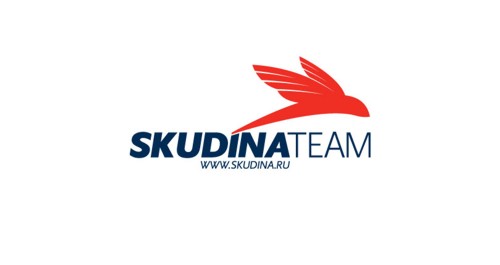 Логотип и фирменный стиль от Graphic Productions для SkudinaTeam